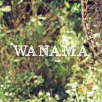 Wanama Av.51