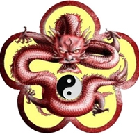 Asociación Wu Hsing Chuan de Kung Fu