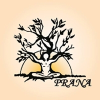 Escuela de Yoga Prana